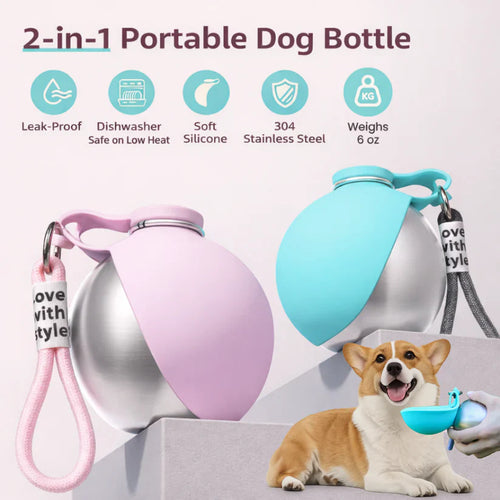 Hydrate Your Dog Anywhere, Anytime