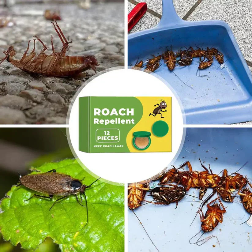 Plant-Powered Roach Repellent (Pet & Kid Friendly)