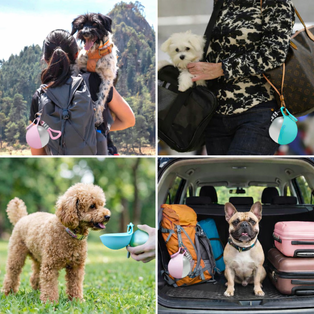 Hydrate Your Dog Anywhere, Anytime